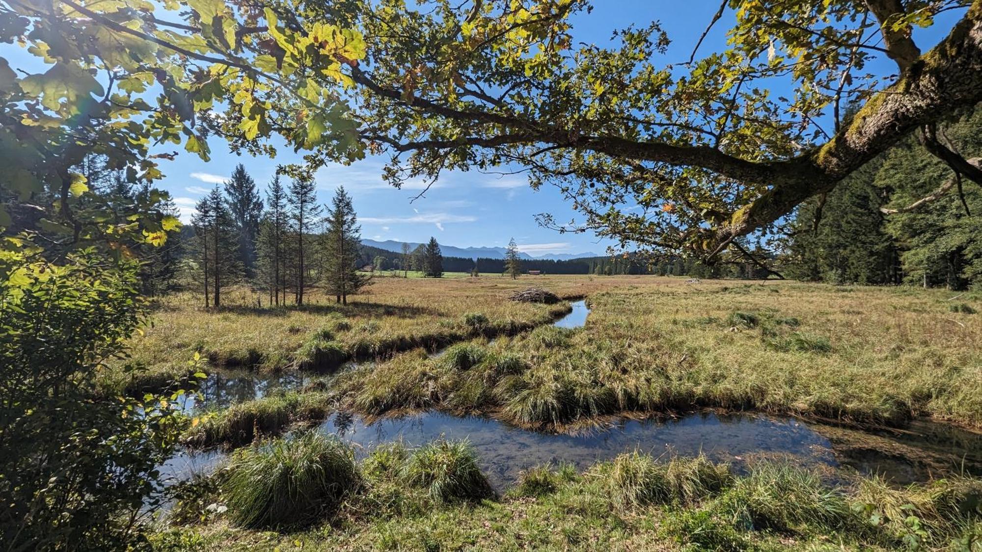Liboria I Traumhafte Ferienwohnung In Aidling Am Riegsee Mit Atemberaubendem Panoramablick! Ngoại thất bức ảnh